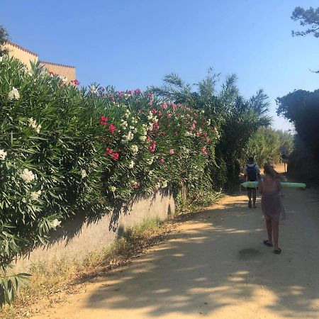 La Corse Tranquille 300M De La Plage Et Piscine Linguizzetta 外观 照片