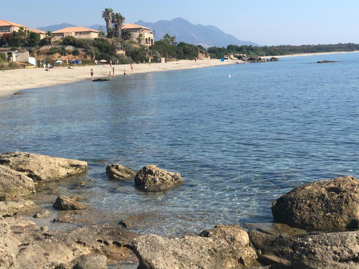 La Corse Tranquille 300M De La Plage Et Piscine Linguizzetta 外观 照片