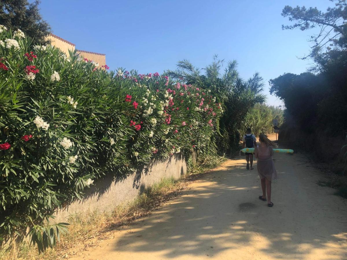 La Corse Tranquille 300M De La Plage Et Piscine Linguizzetta 外观 照片